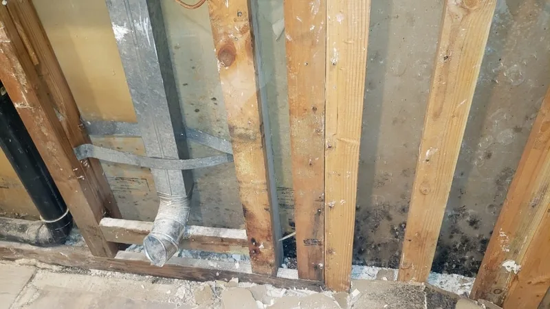 Garage mold removal in Napa