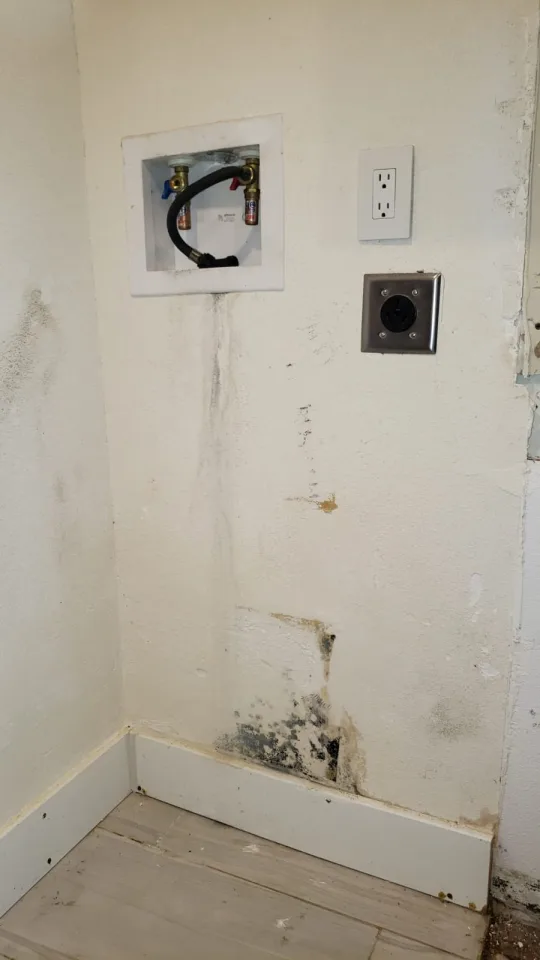 Mold behind the washer hookups