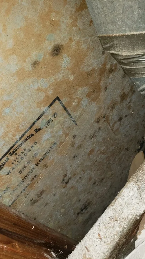 Mold on the back of drywall